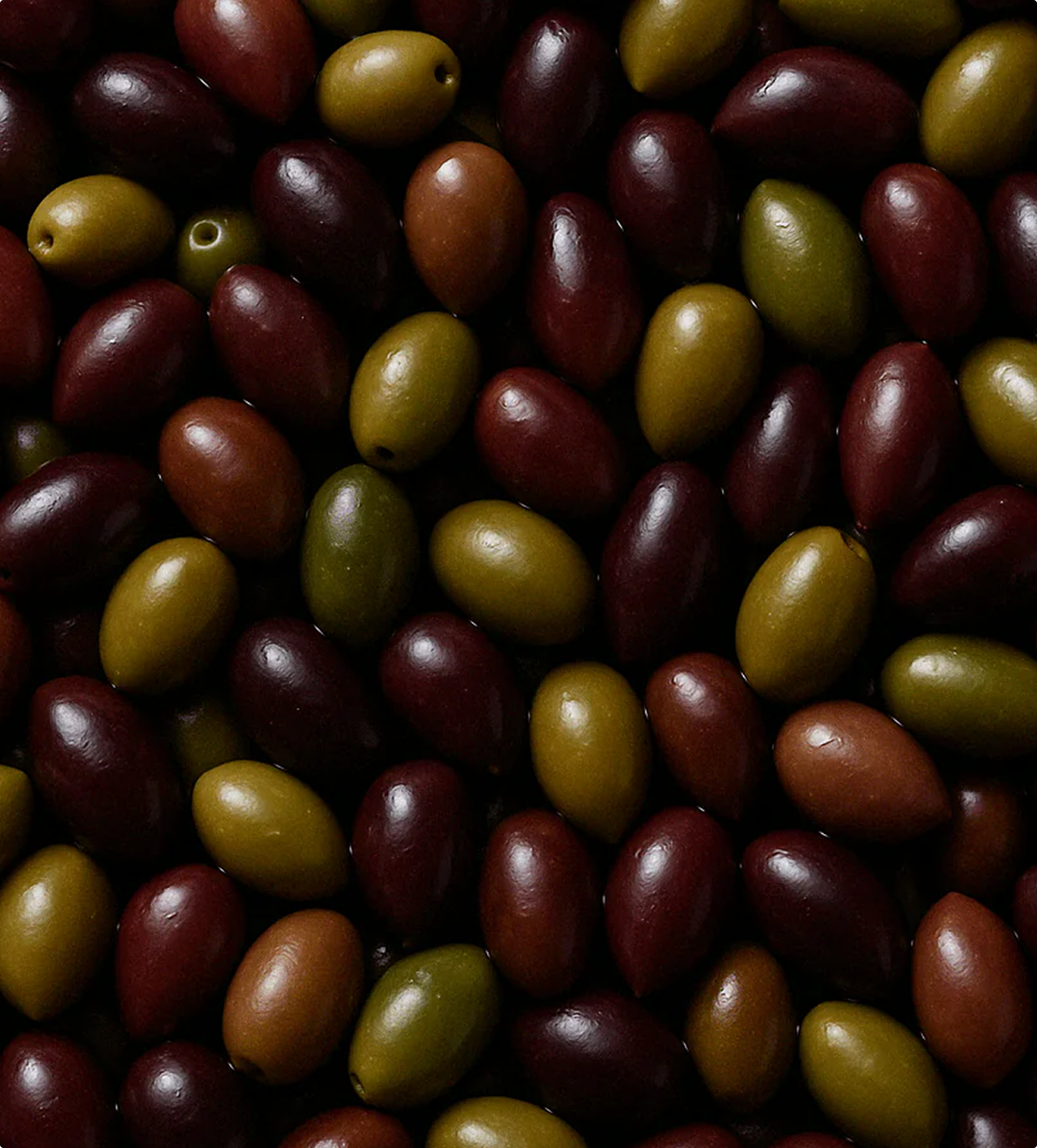Huile d’olive bio