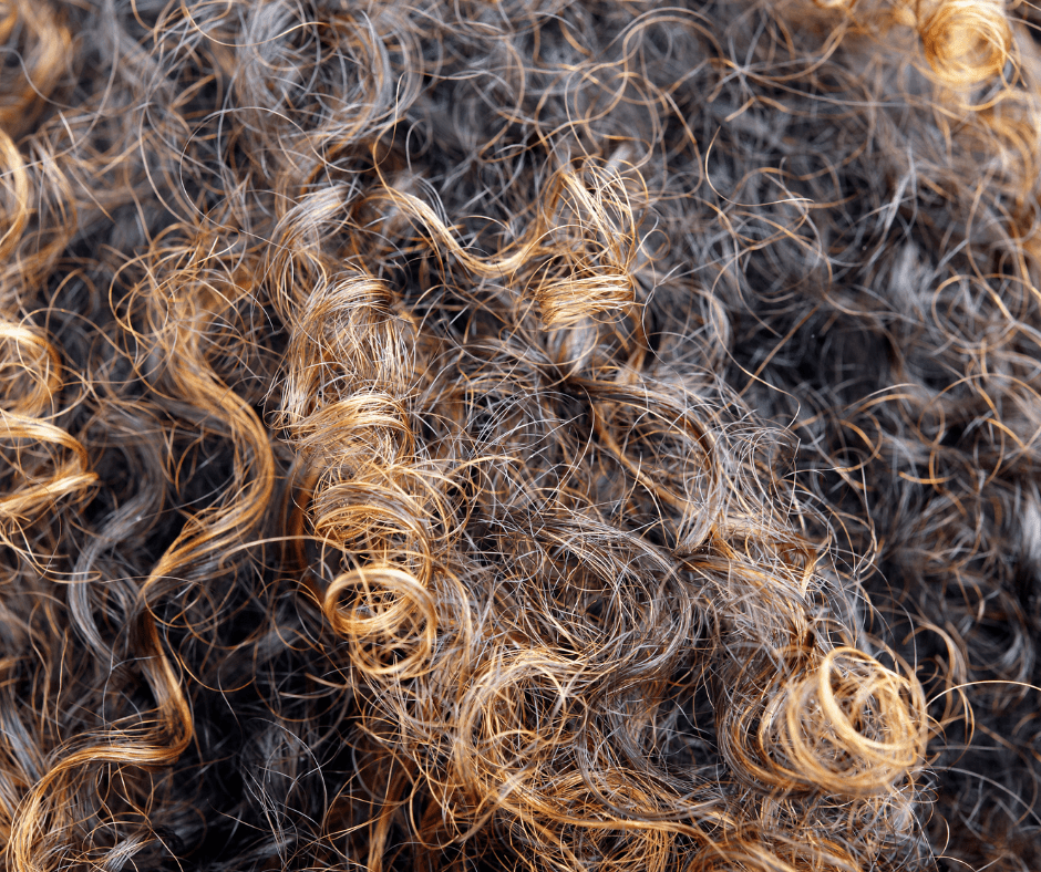 Cheveux crépus : combien de shampoings par douche faut-il faire